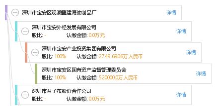 深圳市寶安區觀瀾疊建海綿制品廠網站建設方案