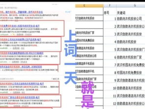 國慶獻禮，濃情回饋 網站建設698元限時搶購，助力武漢產品供應加工企業騰飛